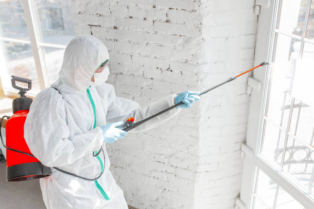 Best Asbestos and Lead Testing During Mold Inspection  in Capac, MI