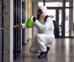 Trusted Capac, MI Mold Removal Services Experts